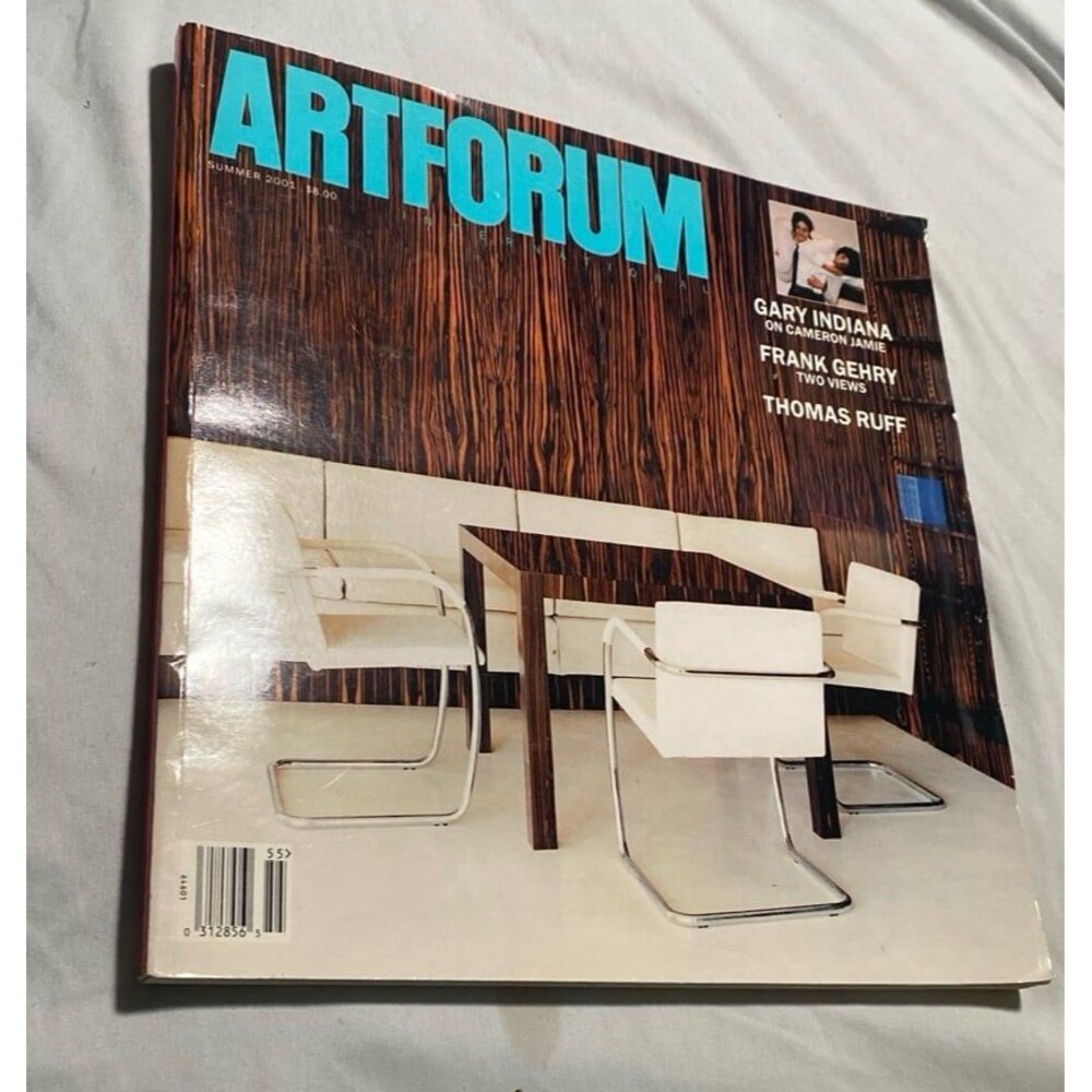 Artforum Magazine Summer 2001 Gary Indiana on Cameron Jamie, Frank Getty, & Ruff - Picture 1 of 6